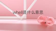 whell是什么意思 whell的中文翻译、读音、例句
