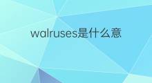 walruses是什么意思 walruses的中文翻译、读音、例句