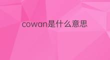 cowan是什么意思 cowan的中文翻译、读音、例句