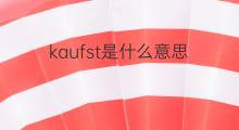 kaufst是什么意思 kaufst的中文翻译、读音、例句