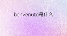 benvenuta是什么意思 benvenuta的中文翻译、读音、例句