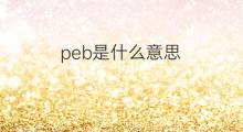 peb是什么意思 peb的中文翻译、读音、例句