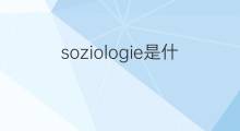 soziologie是什么意思 soziologie的翻译、读音、例句、中文解释