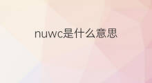 nuwc是什么意思 nuwc的中文翻译、读音、例句
