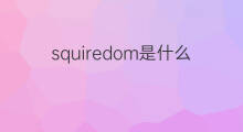 squiredom是什么意思 squiredom的中文翻译、读音、例句
