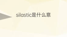 silastic是什么意思 silastic的中文翻译、读音、例句