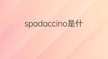 spadaccino是什么意思 spadaccino的中文翻译、读音、例句