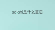 salahi是什么意思 salahi的中文翻译、读音、例句