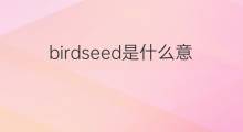 birdseed是什么意思 birdseed的中文翻译、读音、例句