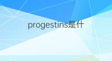 progestins是什么意思 progestins的中文翻译、读音、例句