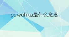 pawahku是什么意思 pawahku的中文翻译、读音、例句