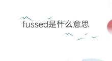 fussed是什么意思 fussed的中文翻译、读音、例句