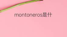montoneros是什么意思 montoneros的中文翻译、读音、例句
