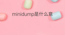 minidump是什么意思 minidump的中文翻译、读音、例句