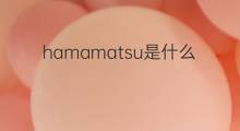hamamatsu是什么意思 hamamatsu的中文翻译、读音、例句