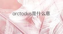 arctodus是什么意思 arctodus的中文翻译、读音、例句