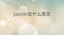jasmin是什么意思 jasmin的中文翻译、读音、例句