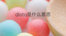 diota是什么意思 diota的中文翻译、读音、例句