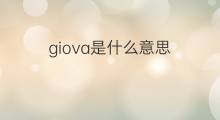 giova是什么意思 giova的中文翻译、读音、例句