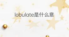 lobulate是什么意思 lobulate的中文翻译、读音、例句