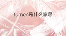 turnen是什么意思 turnen的中文翻译、读音、例句