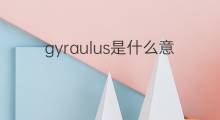 gyraulus是什么意思 gyraulus的翻译、读音、例句、中文解释
