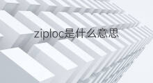 ziploc是什么意思 ziploc的中文翻译、读音、例句