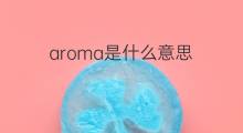aroma是什么意思 aroma的中文翻译、读音、例句