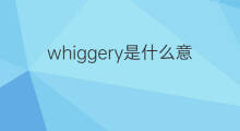 whiggery是什么意思 whiggery的中文翻译、读音、例句