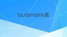 laudanidine是什么意思 laudanidine的中文翻译、读音、例句
