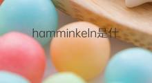hamminkeln是什么意思 hamminkeln的中文翻译、读音、例句