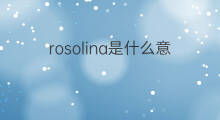 rosolina是什么意思 rosolina的中文翻译、读音、例句