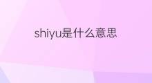 shiyu是什么意思 shiyu的中文翻译、读音、例句