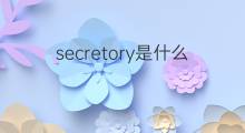 secretory是什么意思 secretory的中文翻译、读音、例句