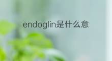endoglin是什么意思 endoglin的中文翻译、读音、例句