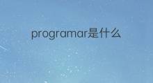 programar是什么意思 programar的中文翻译、读音、例句