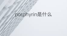 porphyrin是什么意思 porphyrin的中文翻译、读音、例句