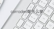 corroded是什么意思 corroded的中文翻译、读音、例句