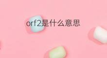 orf2是什么意思 orf2的中文翻译、读音、例句