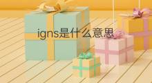 igns是什么意思 igns的中文翻译、读音、例句