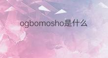 ogbomosho是什么意思 ogbomosho的中文翻译、读音、例句