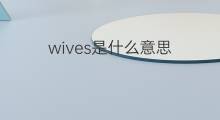 wives是什么意思 wives的中文翻译、读音、例句