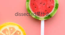dissected是什么意思 dissected的中文翻译、读音、例句