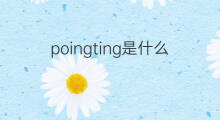 poingting是什么意思 poingting的中文翻译、读音、例句