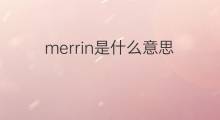 merrin是什么意思 merrin的中文翻译、读音、例句