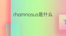 rhamnosus是什么意思 rhamnosus的中文翻译、读音、例句