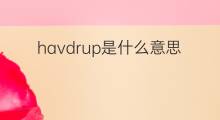 havdrup是什么意思 havdrup的中文翻译、读音、例句