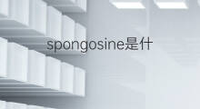 spongosine是什么意思 spongosine的中文翻译、读音、例句