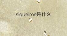 siqueiros是什么意思 英文名siqueiros的翻译、发音、来源