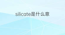 silicate是什么意思 silicate的中文翻译、读音、例句